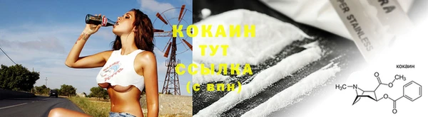 кокс Алексин