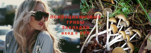 кокс Алексин