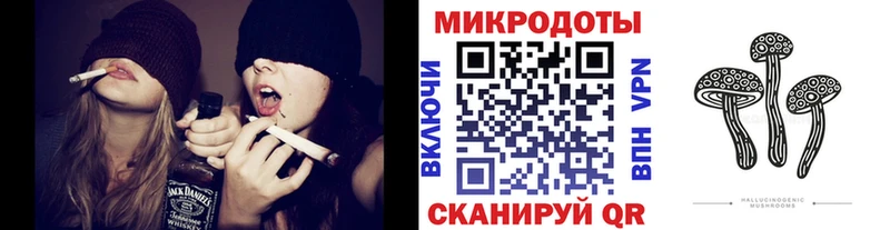 Галлюциногенные грибы Psilocybine cubensis  закладка  Томск 