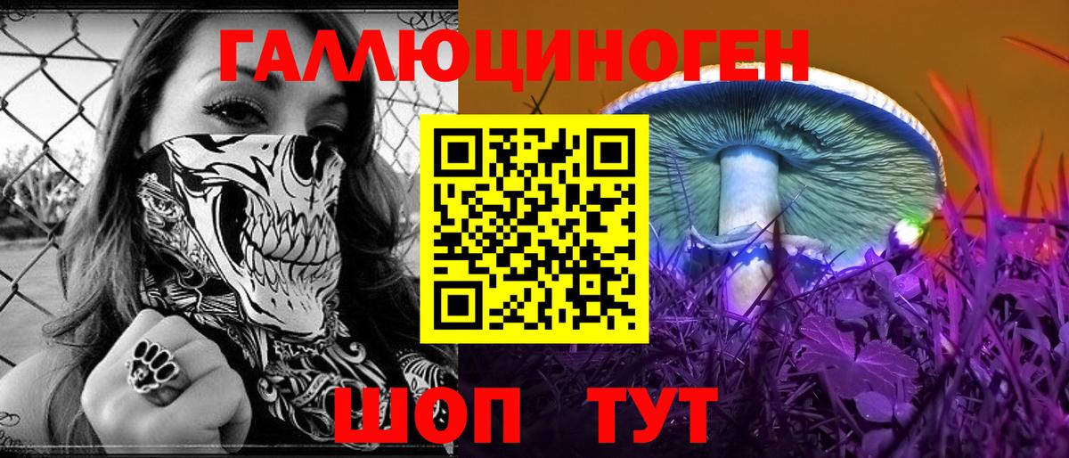 Томск  Псилоцибиновые грибы Psilocybe  Вход с VPN  Псилоцибиновые грибы мицелий 